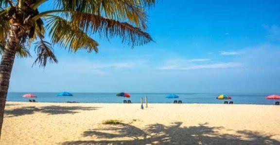 Marari Beach Cleetus Homestay Mararikulam Luaran gambar